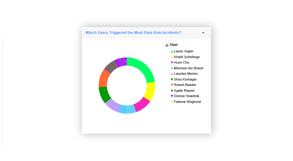 Which Users Have Triggered the Most Data Risk Incidents?